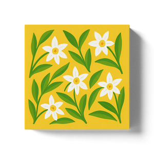 Water Lily