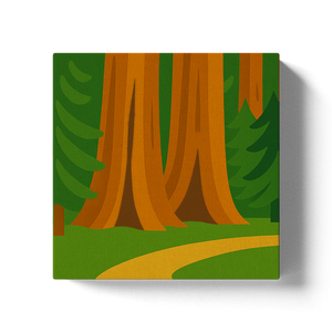Sequoia